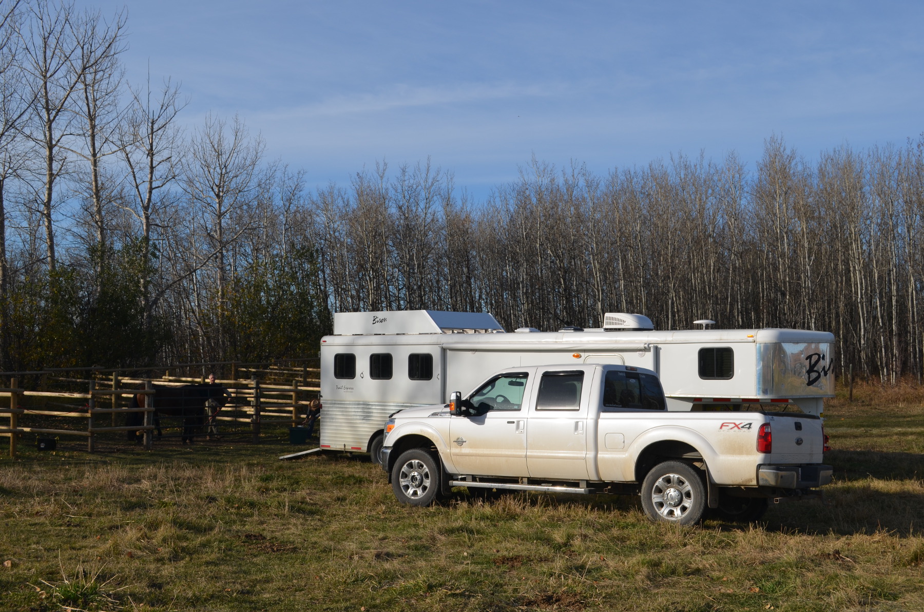 Trailer at Amazing Horse Country