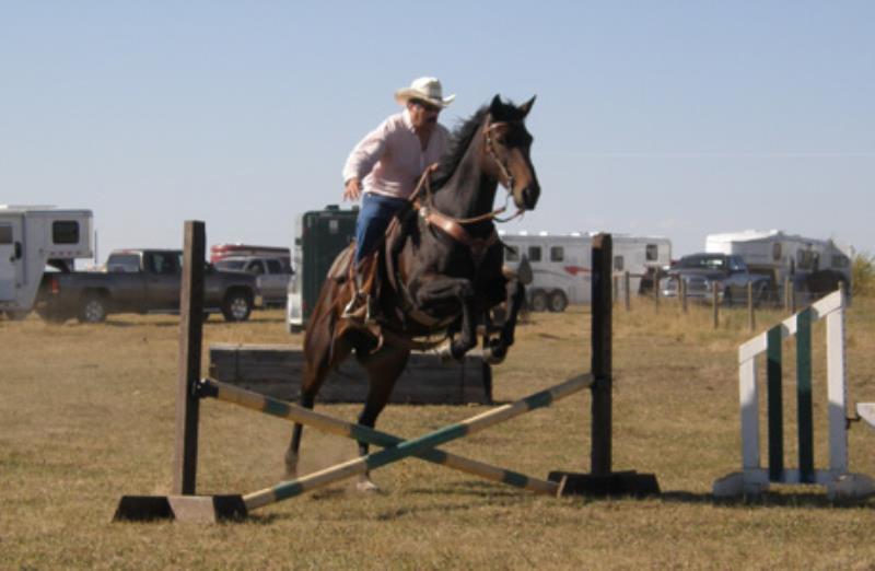 Amazing Horse Country Clinic