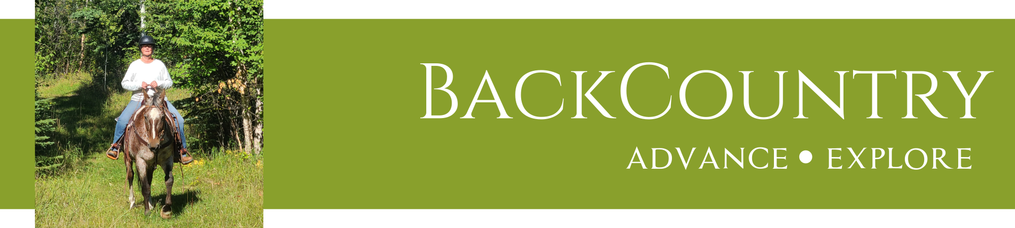 progressive workshop banner