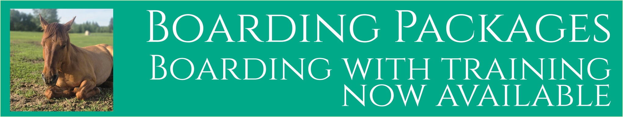 progressive workshop banner