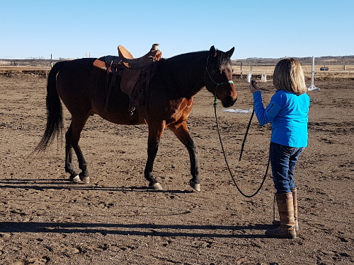 Private Lessons