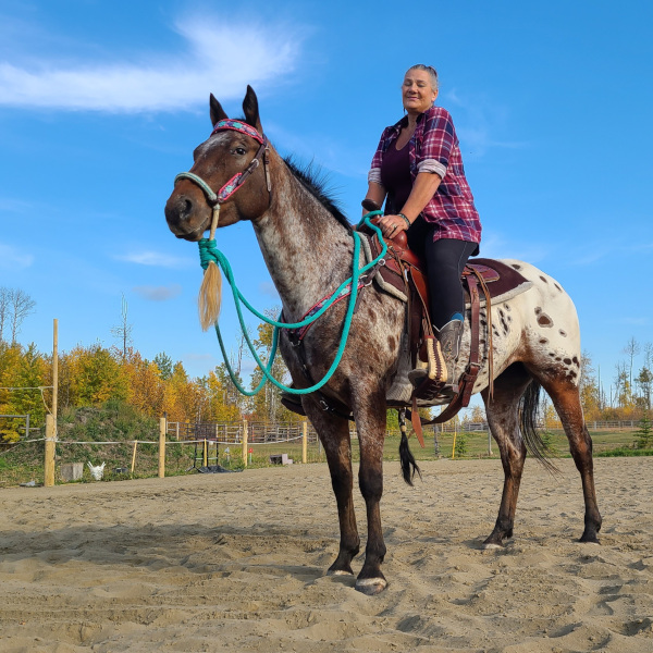 Dedicated Horsemanship