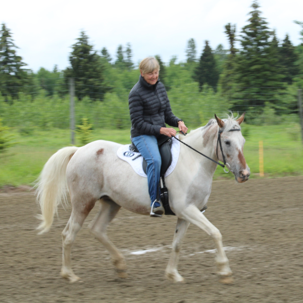 SpDedicated Horsemanshipud