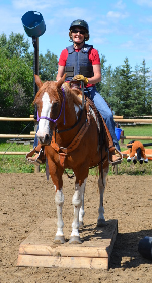 Amazing Horse Country Obstacle Course