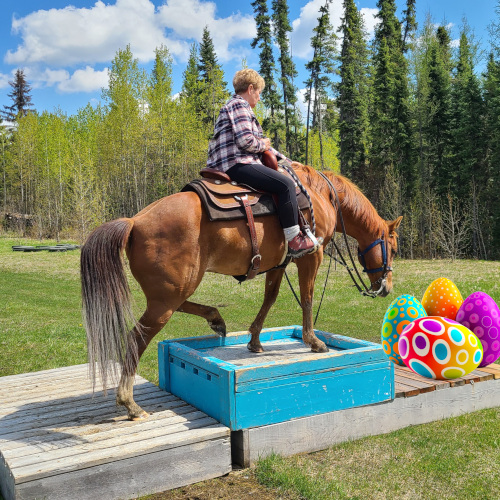Horse and rider