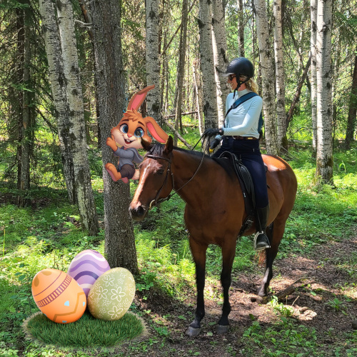 Horse and rider
