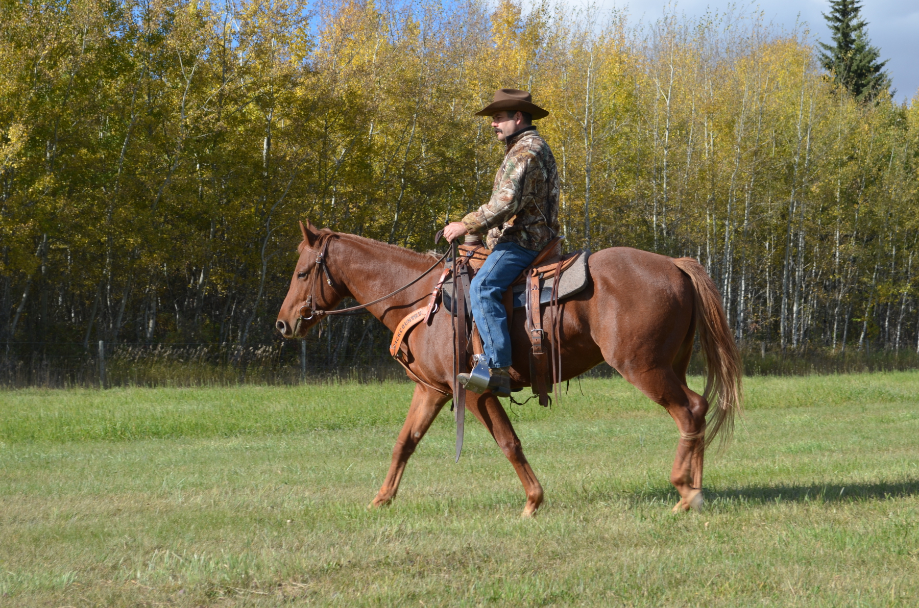 Chip and Scott - Amazing Horse Country