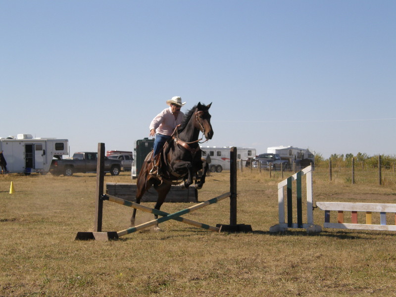 Belle and scott - Amazing Horse Country