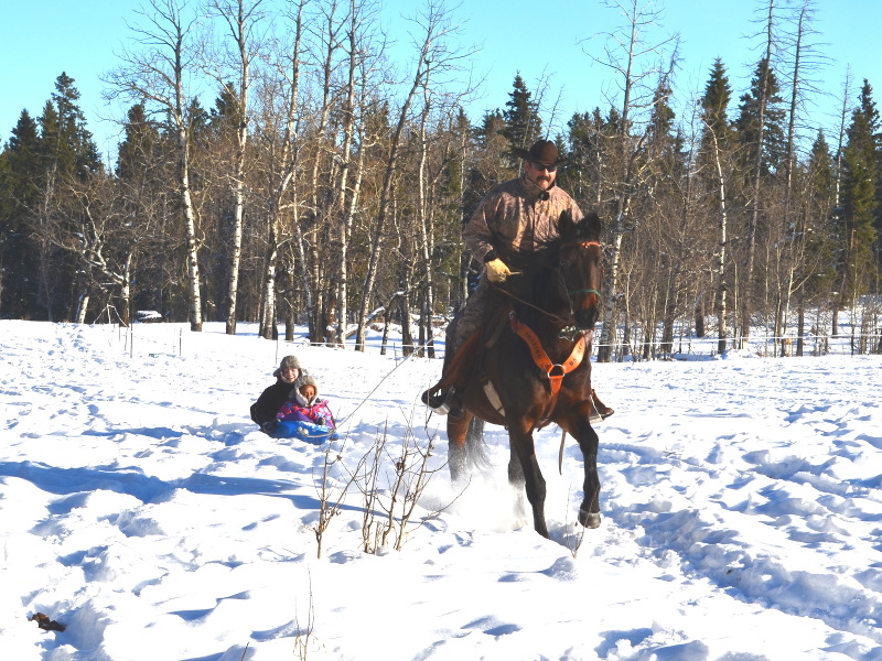 Belle and Scott - Amazing Horse Country