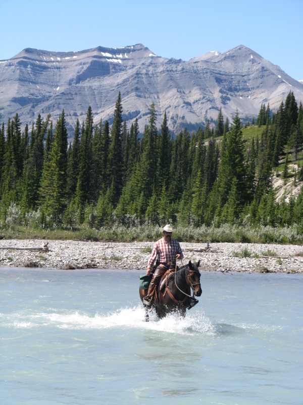 Belle and Scott - Amazing Horse Country