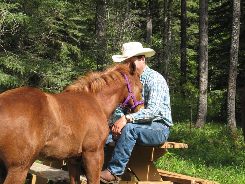 Chip and Scott - Amazing Horse Country