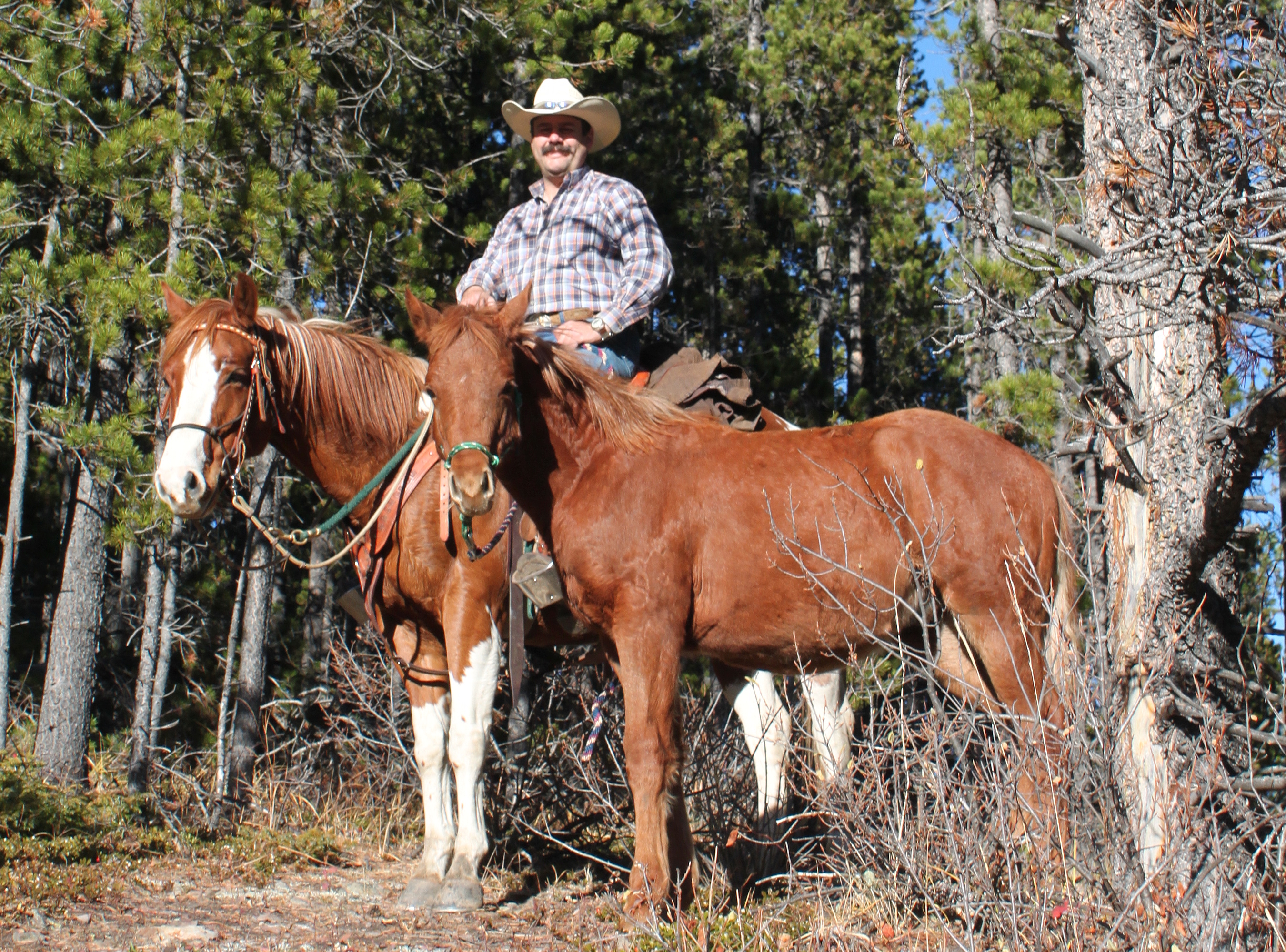 Spud, Chip and Scott - Amazing Horse Country