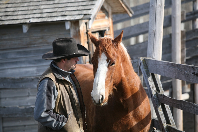 Spud and Scott - Amazing Horse Country