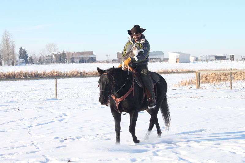 Ty and Scott - Amazing Horse Country