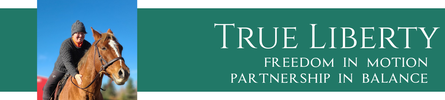 progressive workshop banner