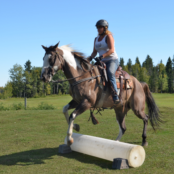 Trailer at Amazing Horse Country