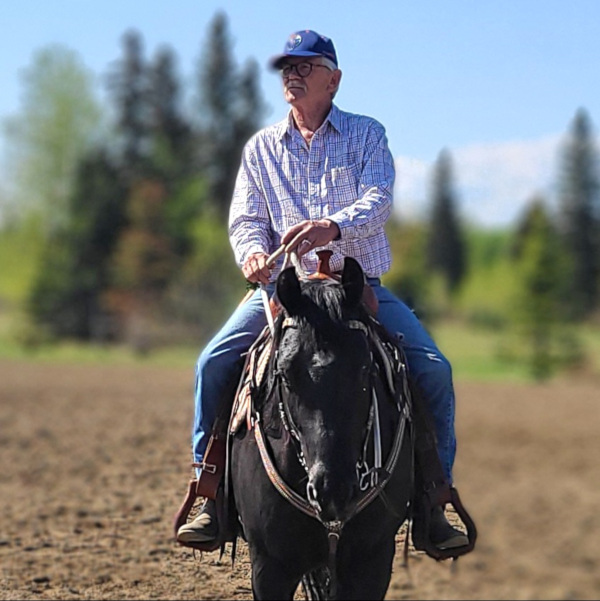 close up of a horse and rider