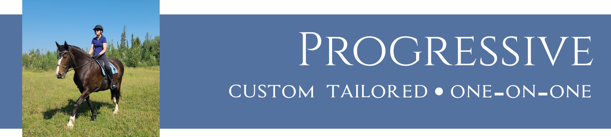 progressive workshop banner