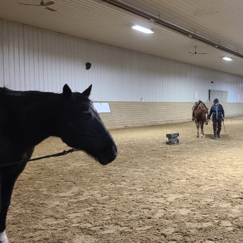 New Indoor Arena.