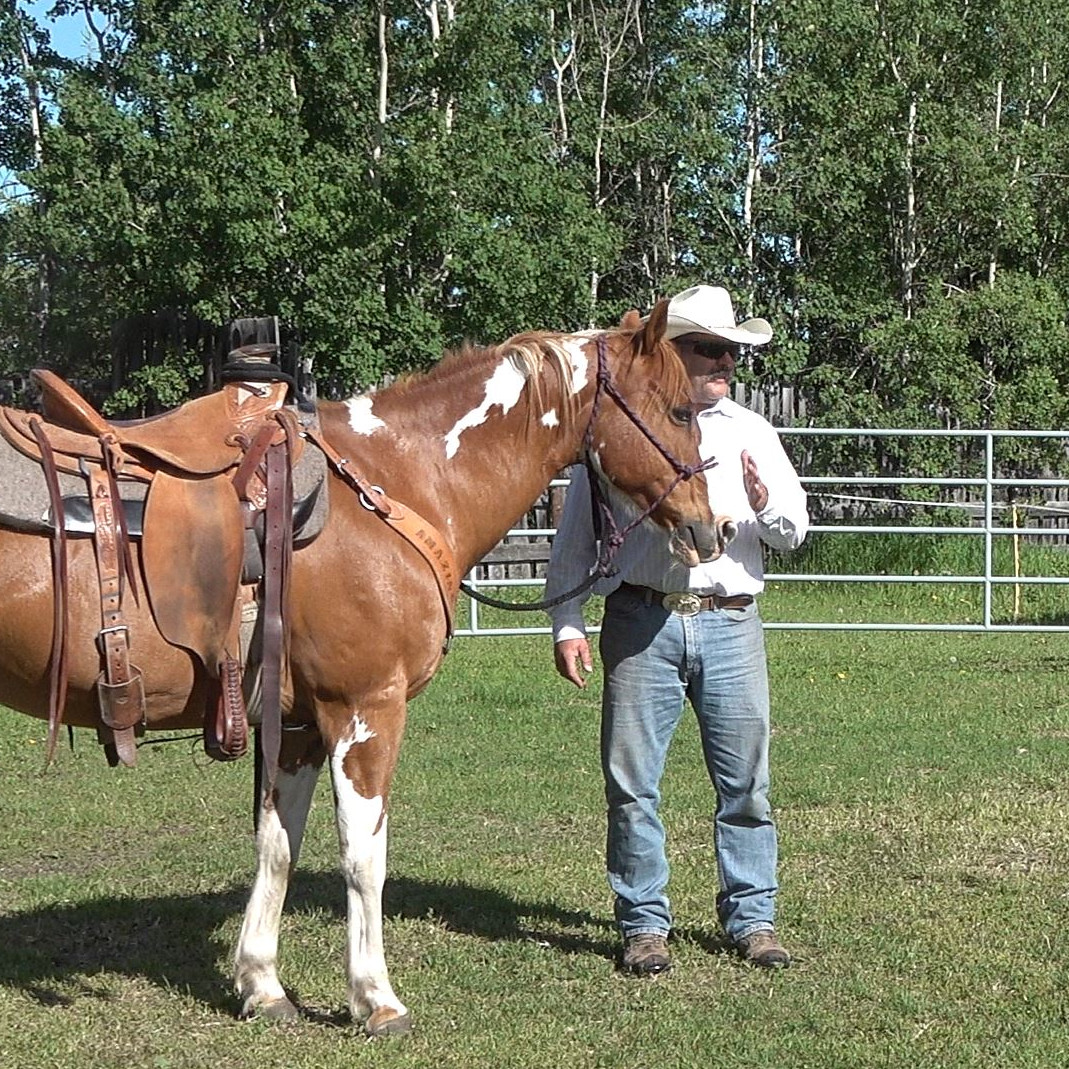 scott phillips horsemanship