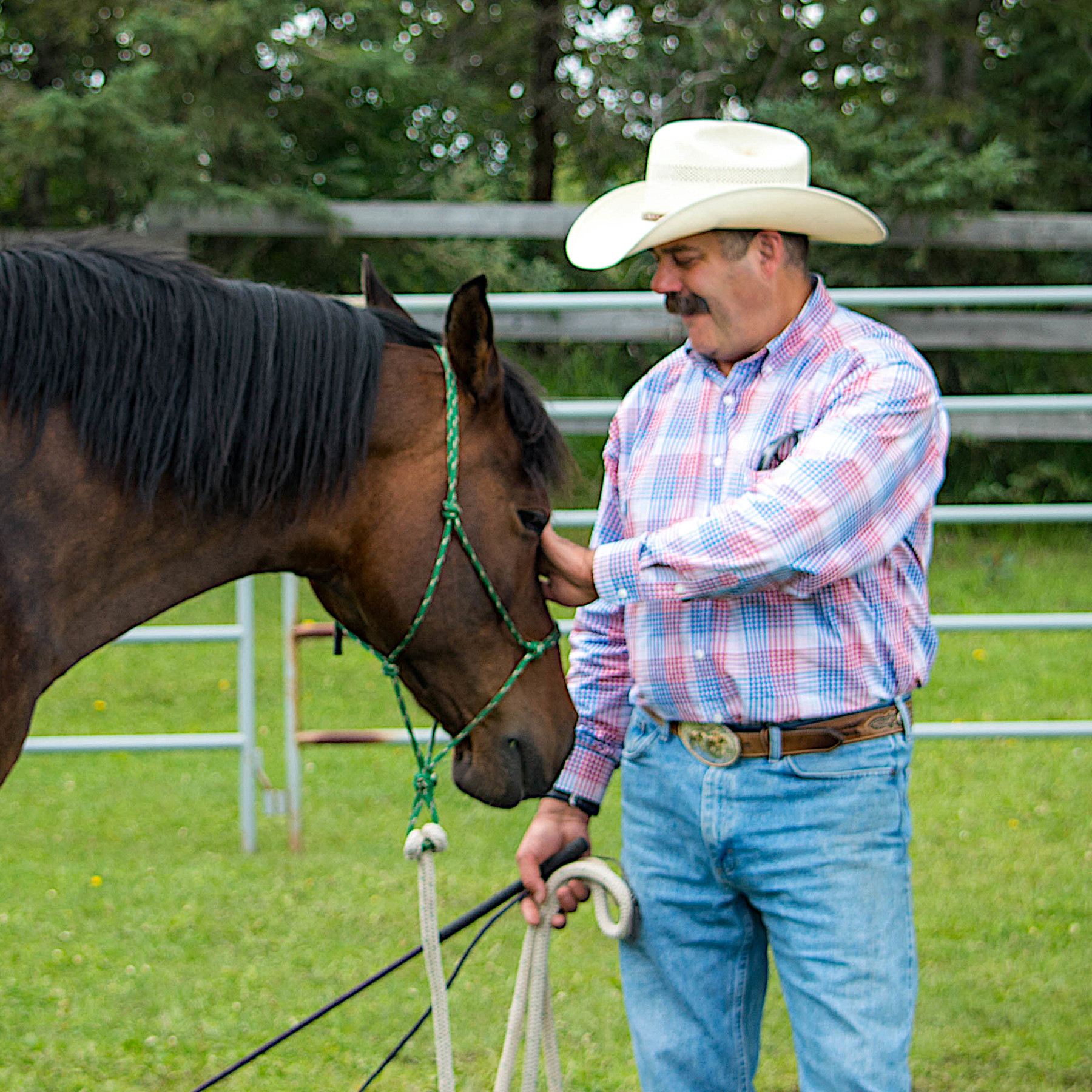 scott phillips horsemanship