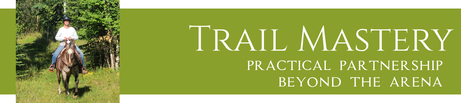 progressive workshop banner