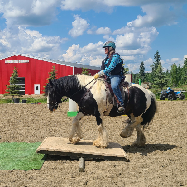horseback riding in the forest
