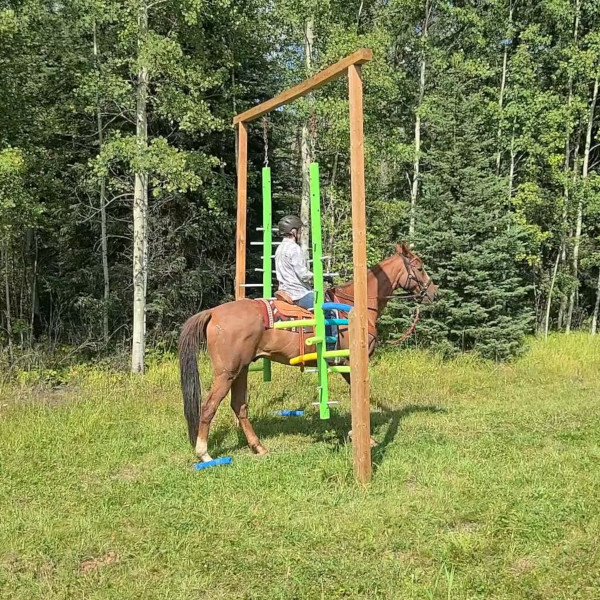 pool noodle obstacles