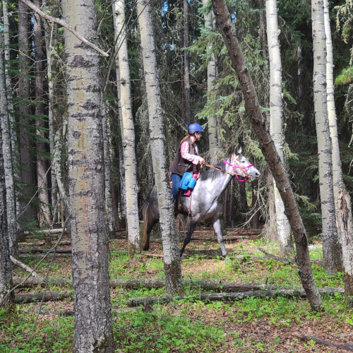 horseback trail riding